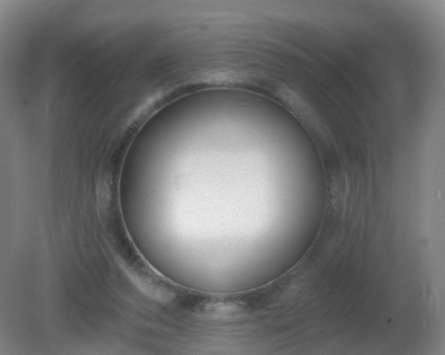 X0000081320208200701181937