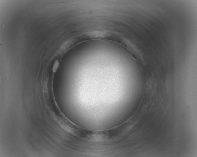 X0000081320209200701181937