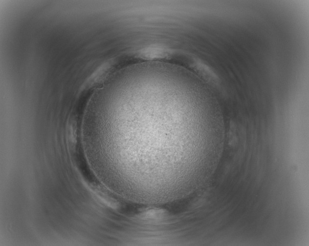 X0000081320210200701181937