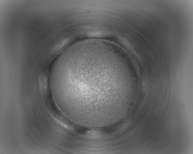 X0000081320211200701181937