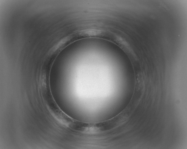 X0000081320212200701181937