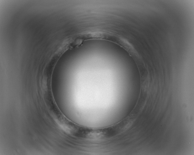 X0000081320213200701181937