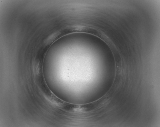 X0000081320216200701181937