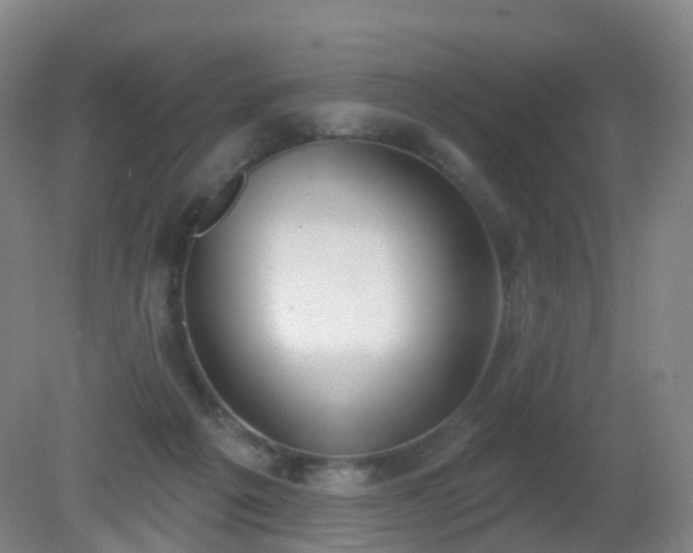 X0000081320217200701181937