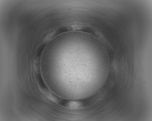 X0000081320218200701181937