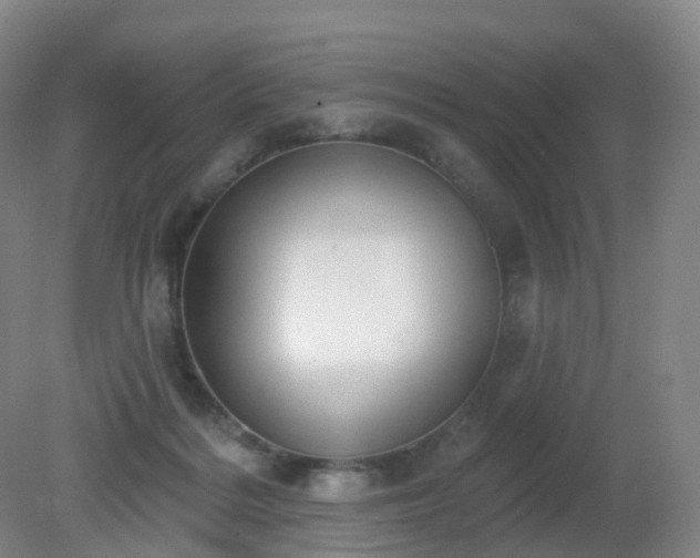 X0000081320220200701181937