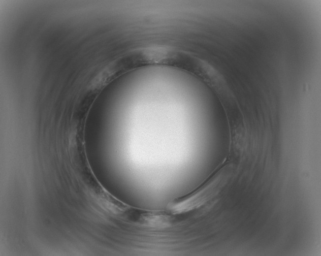 X0000081320221200701181937