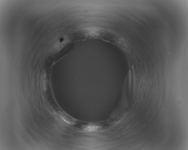 X0000081320223200701181937