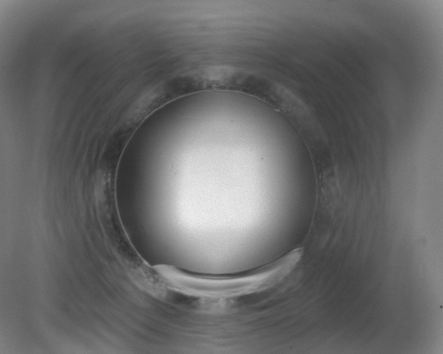 X0000081320225200701181936