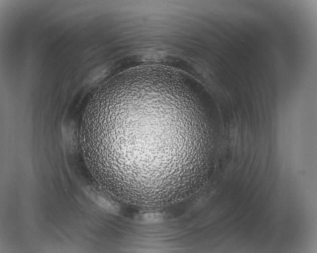 X0000081320228200701181936