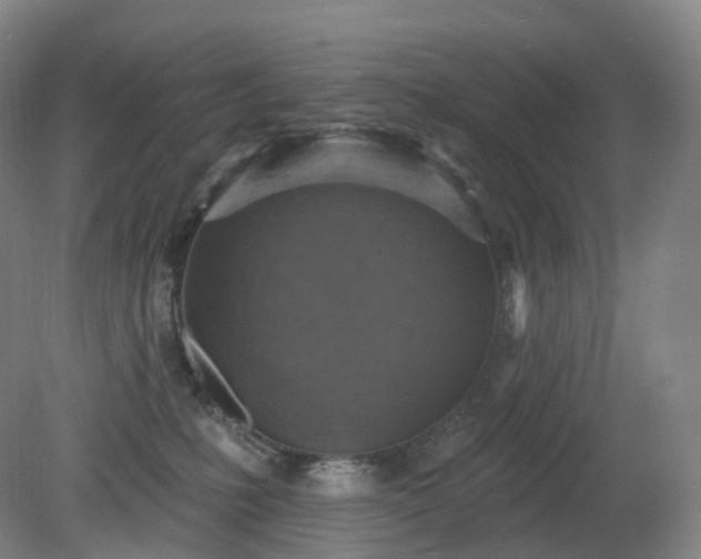 X0000081320231200701181936