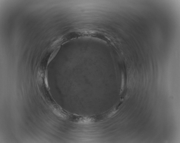 X0000081320235200701181936