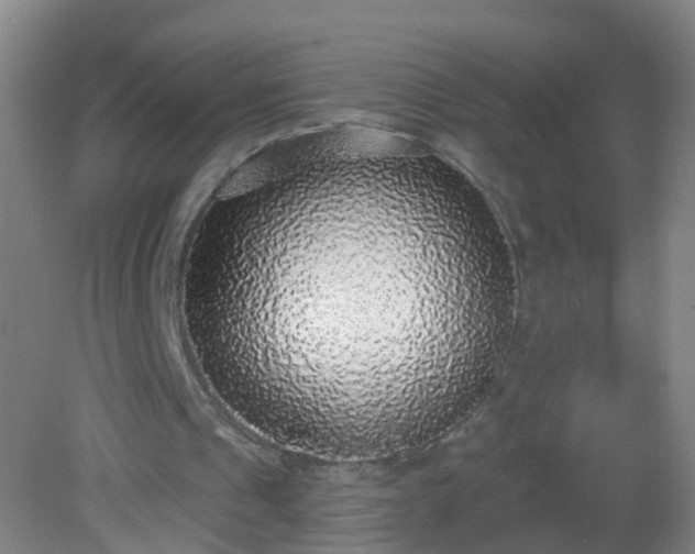 X0000081320241200701181935