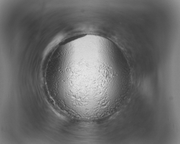 X0000081320245200701181935