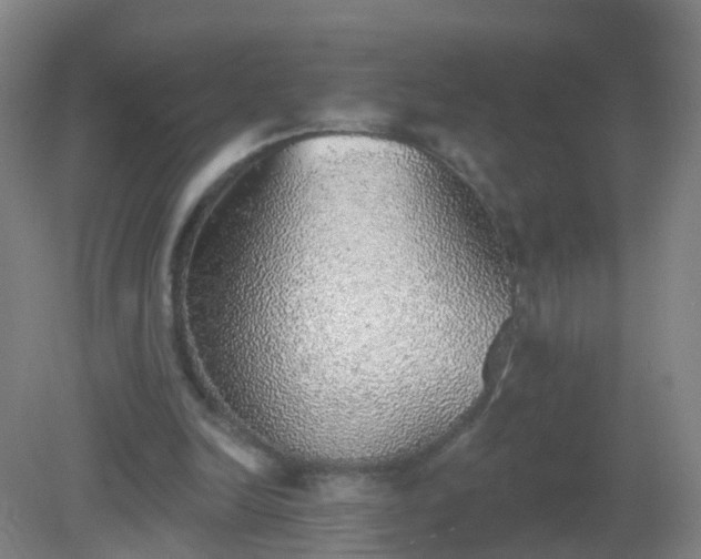 X0000081320246200701181935