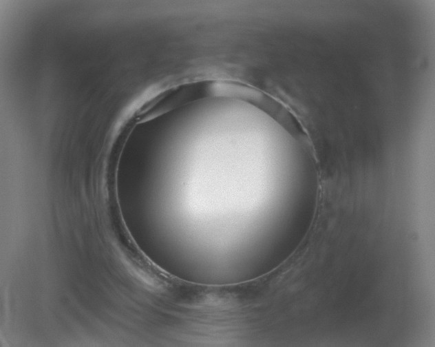 X0000081320248200701181936