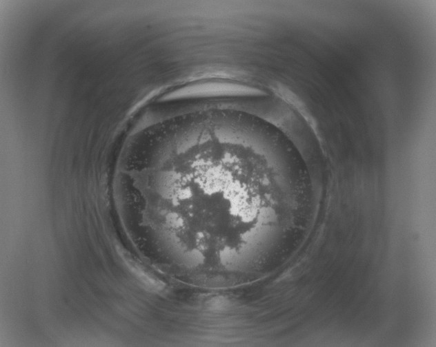 X0000081320249200701181936