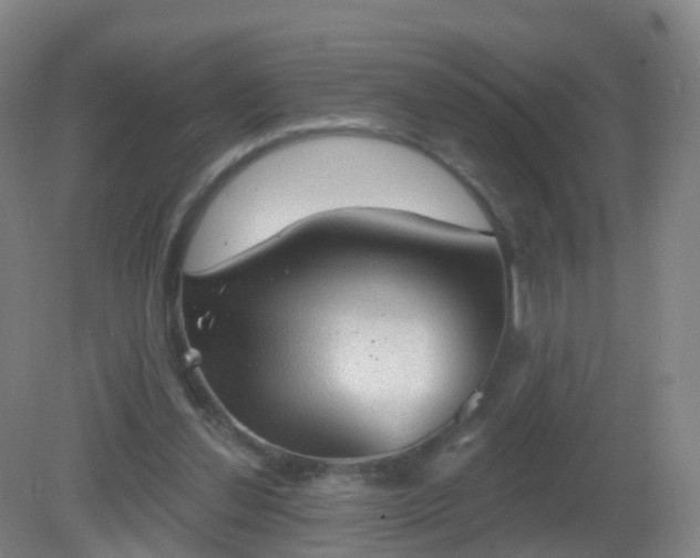 X0000081320252200701181936