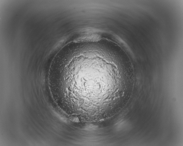 X0000081320257200701181936