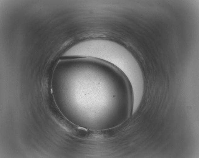 X0000081320260200701181936