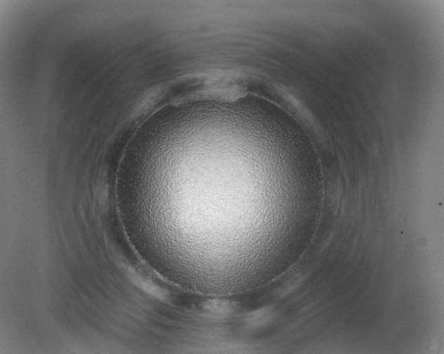 X0000081320261200701181936