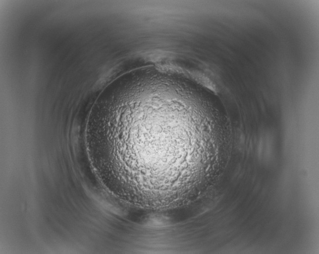 X0000081320263200701181936