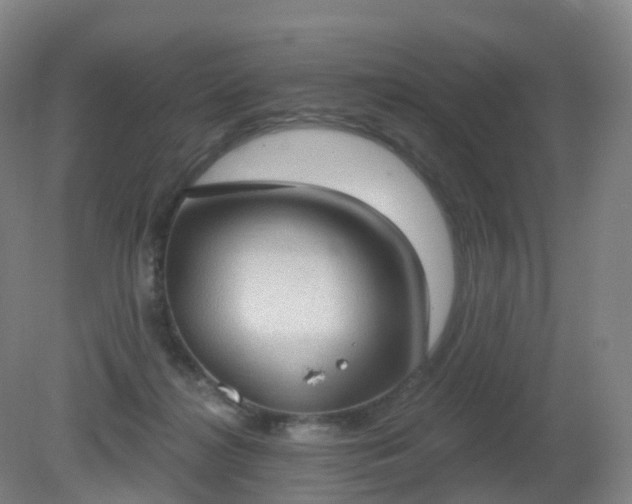 X0000081320268200701181936