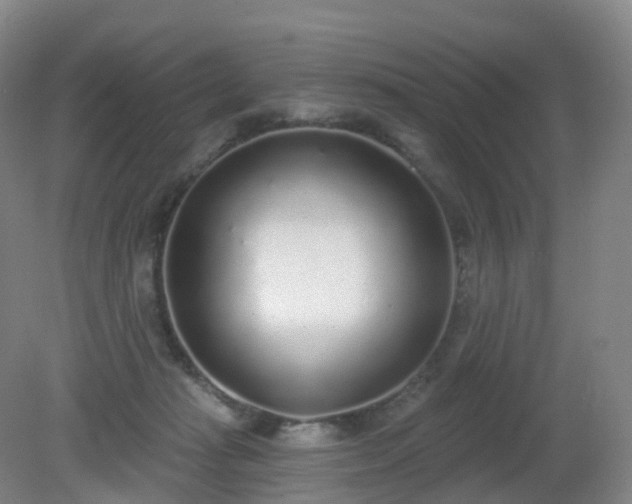 X0000081320269200701181936