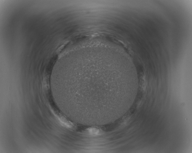 X0000081320272200701181936
