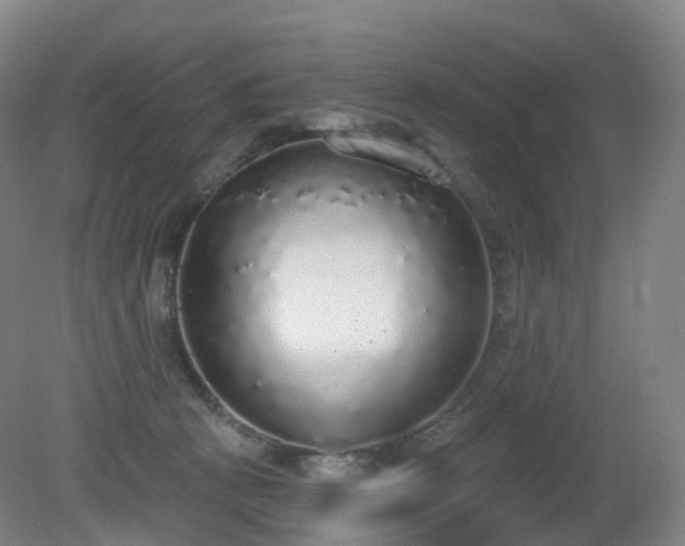 X0000081320273200701181936