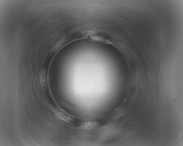 X0000081320274200701181936