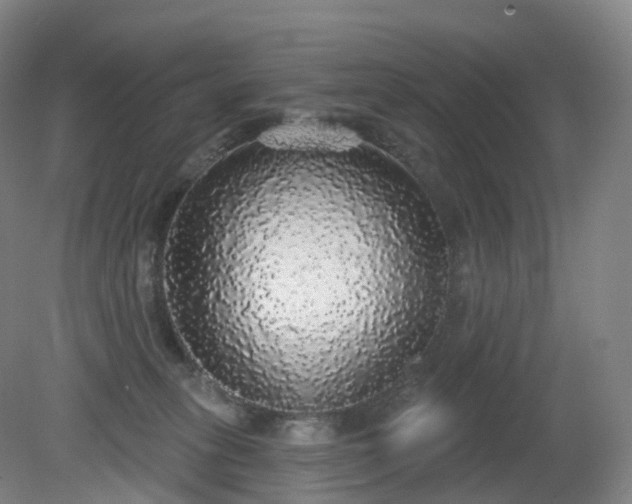 X0000081320275200701181936