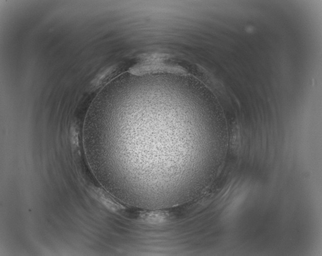 X0000081320282200701181936