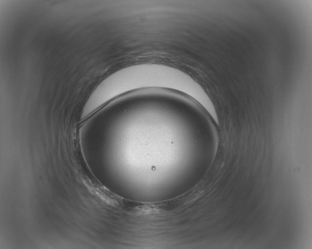 X0000081320284200701181936