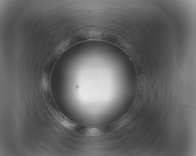 X0000081320287200701181936