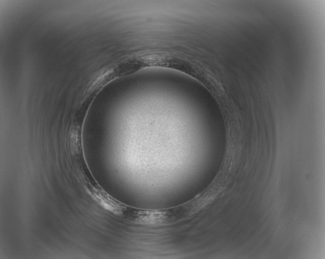 X0000081320288200701181936