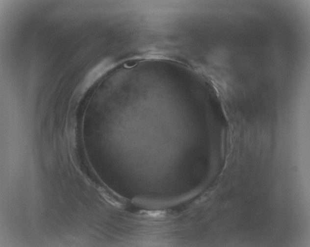 X0000081320295200701181935
