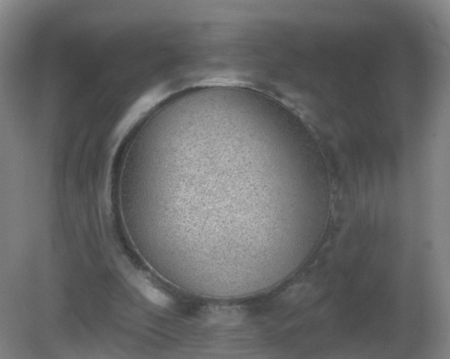 X0000081320296200701181935