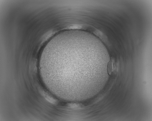 X0000081320300200701181935
