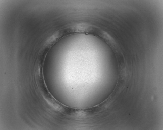 X0000081320310200701181935