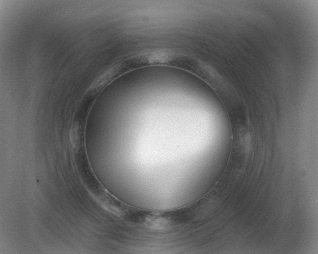 X0000081320311200701181935