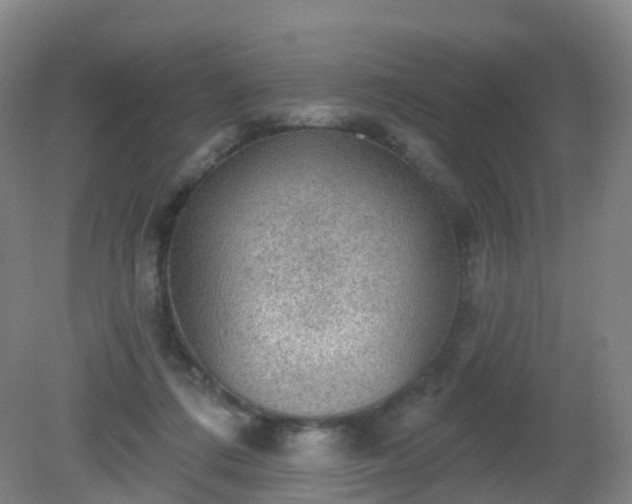 X0000081320312200701181935