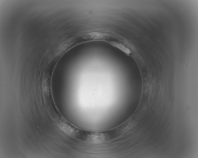 X0000081320317200701181935