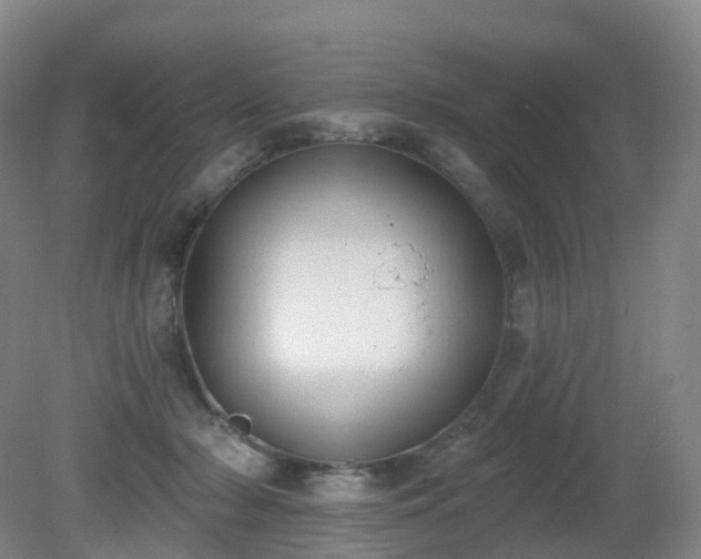 X0000081320318200701181935