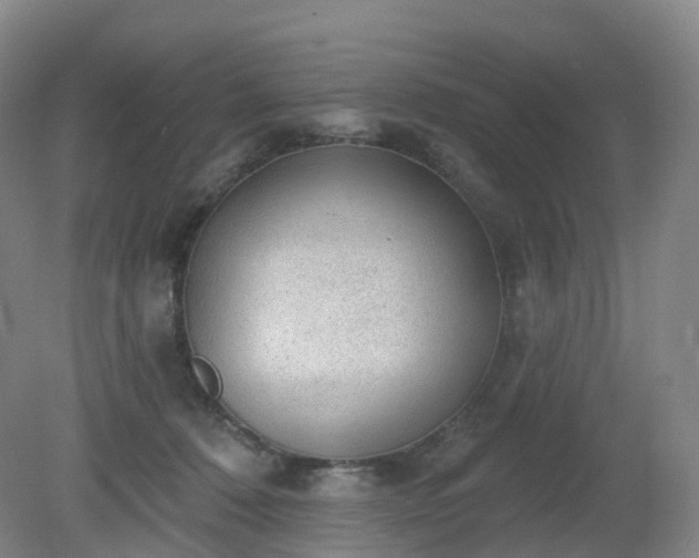 X0000081320320200701181935