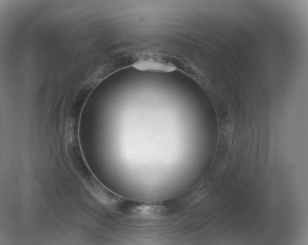 X0000081320323200701181935