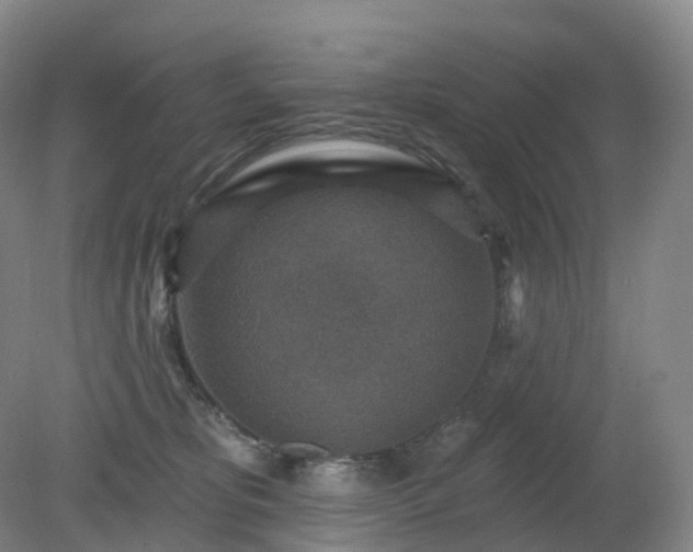 X0000081320325200701181935