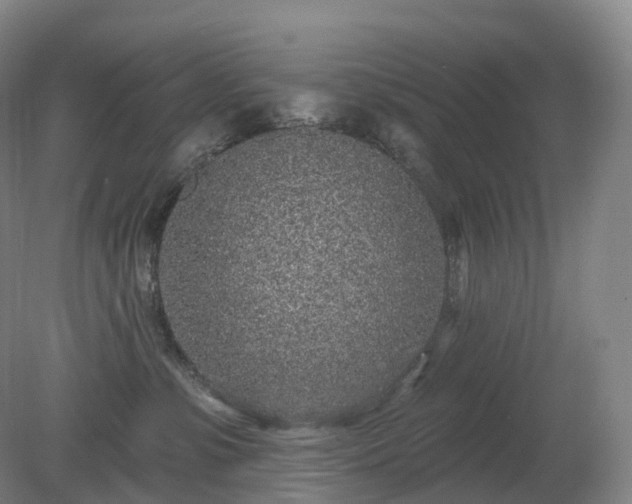 X0000081320331200701181935
