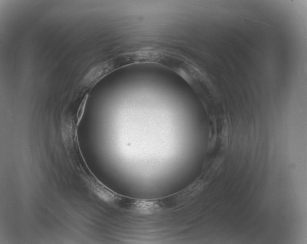 X0000081320333200701181935