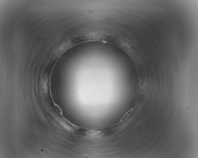 X0000081320334200701181935